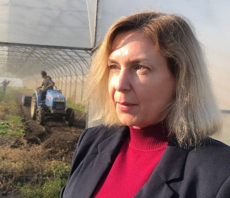     Органических овощей и арбузов с подтвержденным знаком будет больше в Ростовской области
