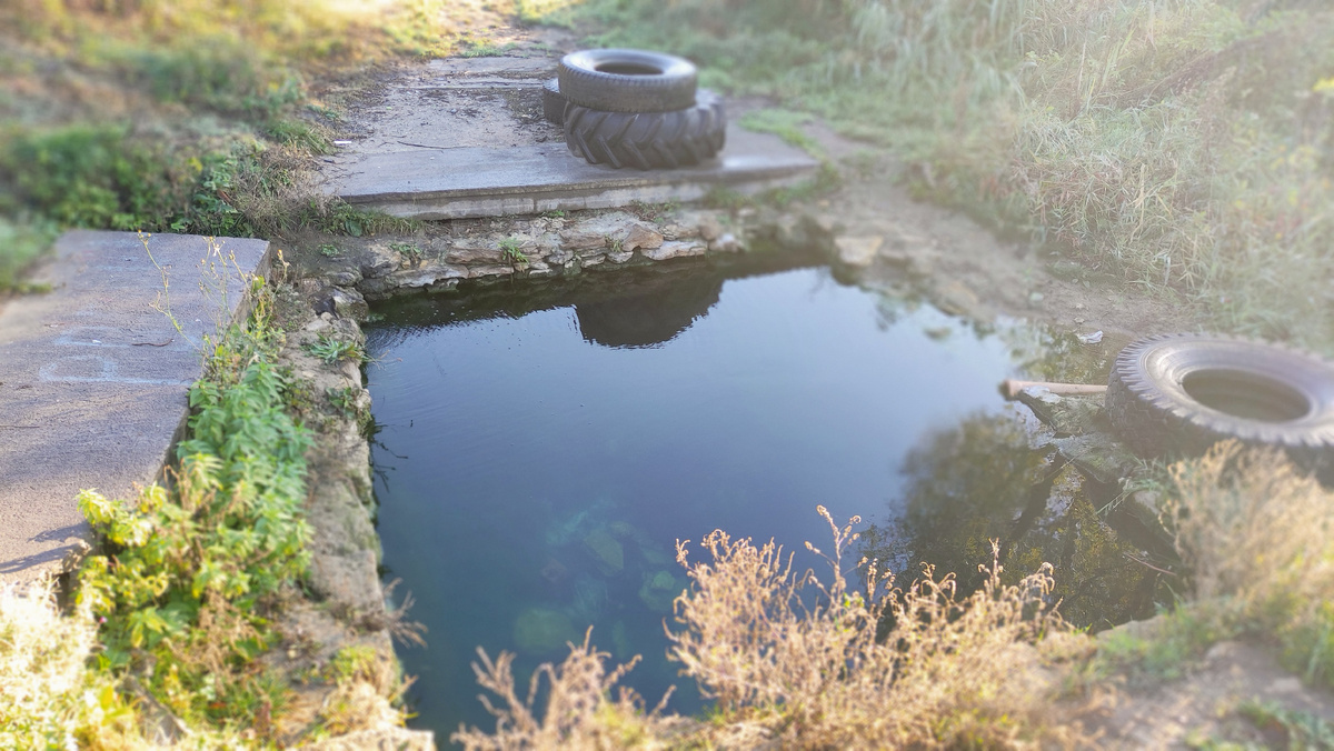 "Райский" уголок