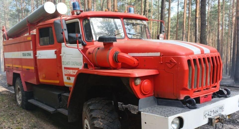    Комитет лесного хозяйства Московской области