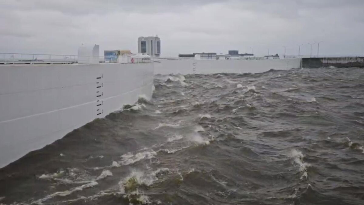 Фото: t.me/dambaspb