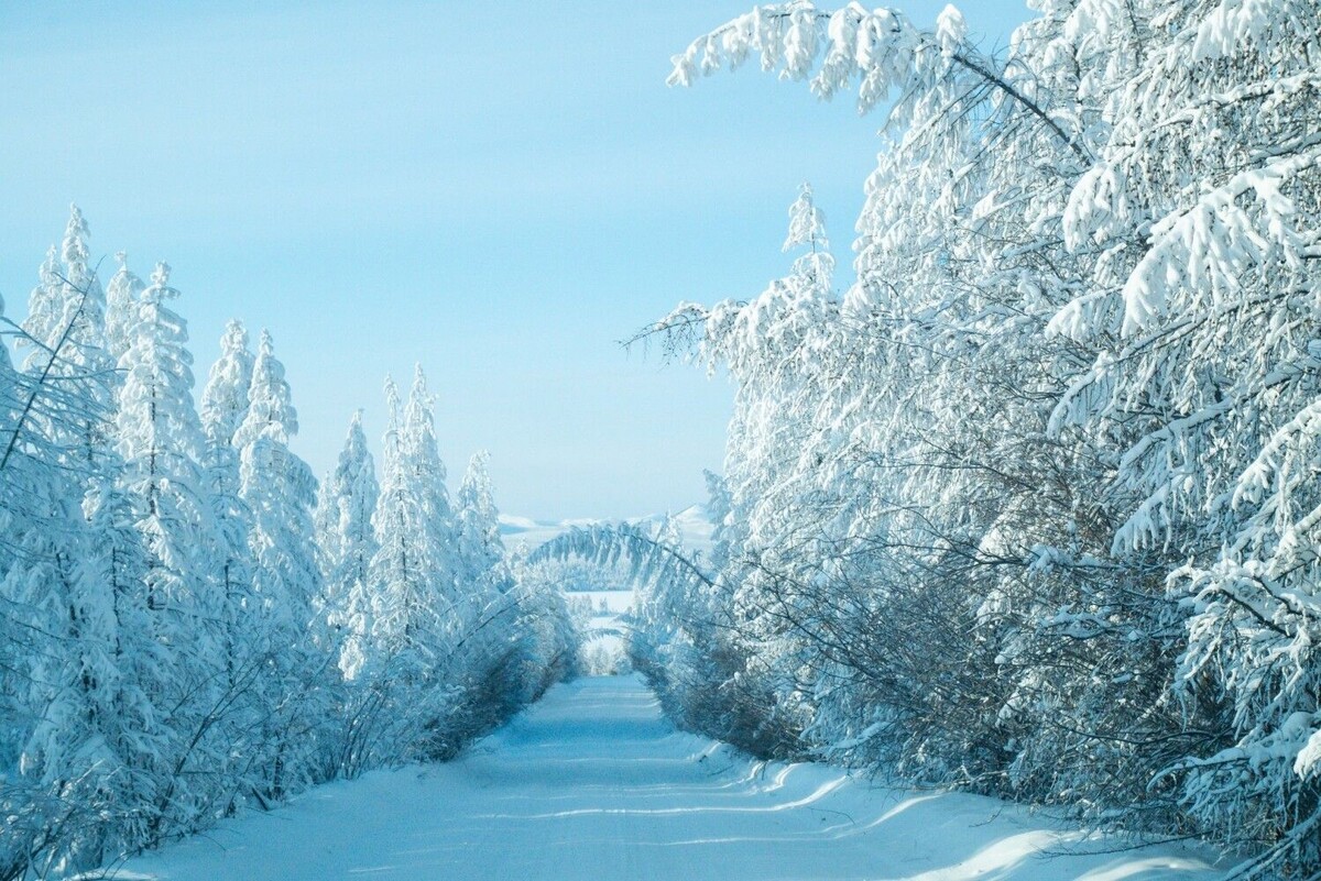 Фото из интернета 