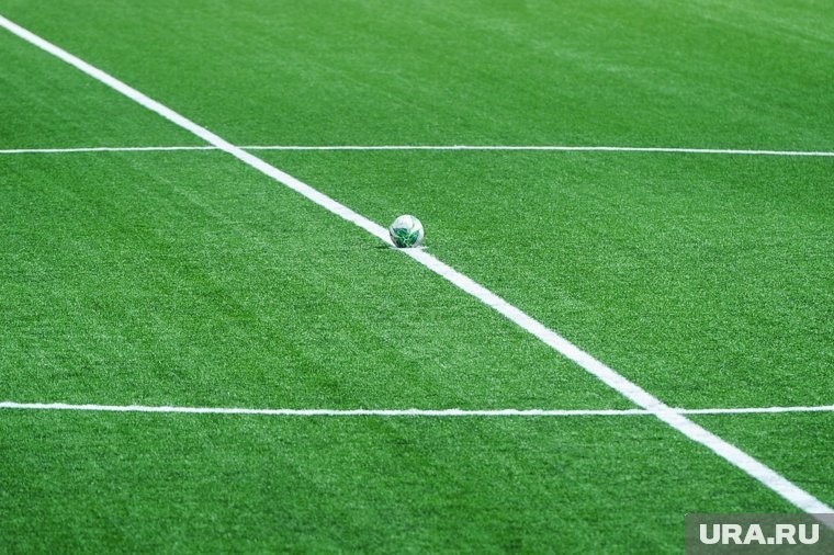    Сборная России проведет товарищеский матч с Чили