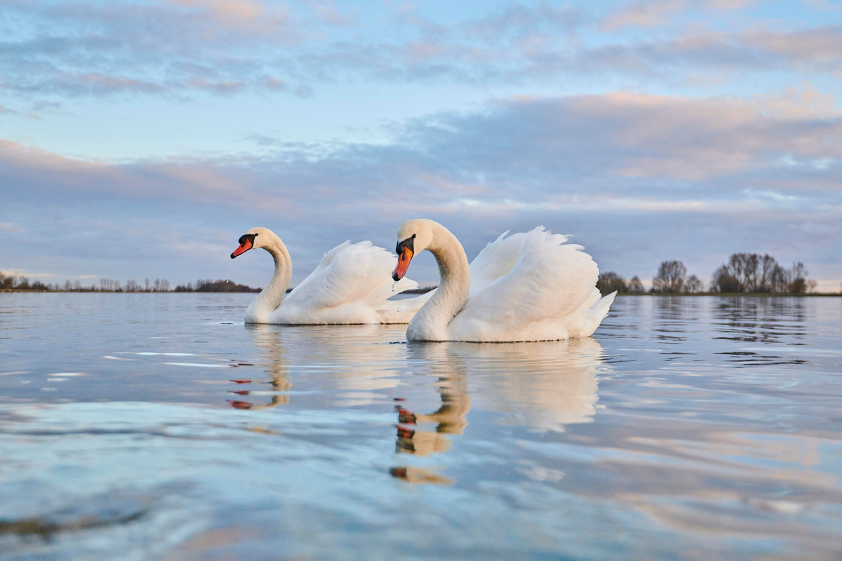 фото: David & Micha Sheldon/http://imagebroker.com/#/search//Global Look Press