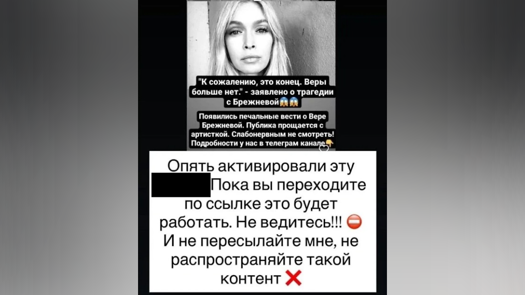 Фото:  Instagram* Веры Брежневой / @ververa