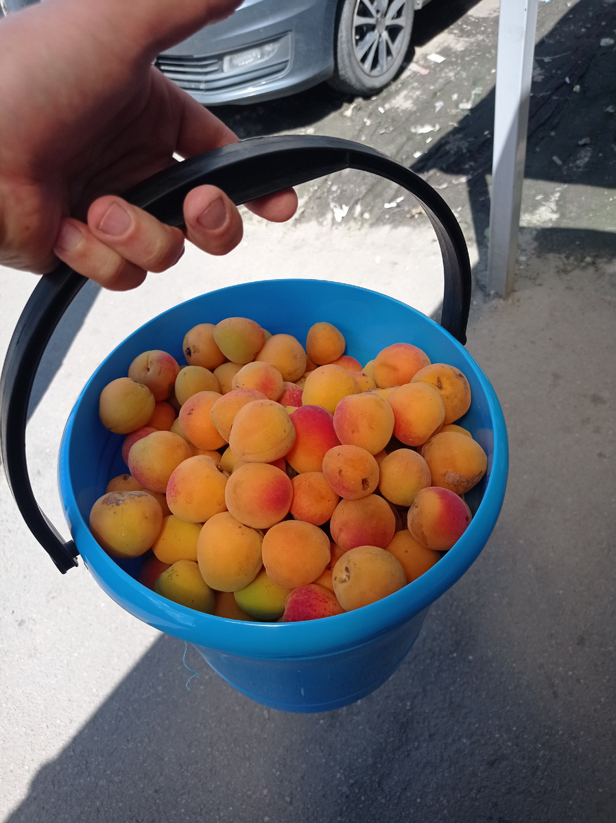 Я и абрикосы