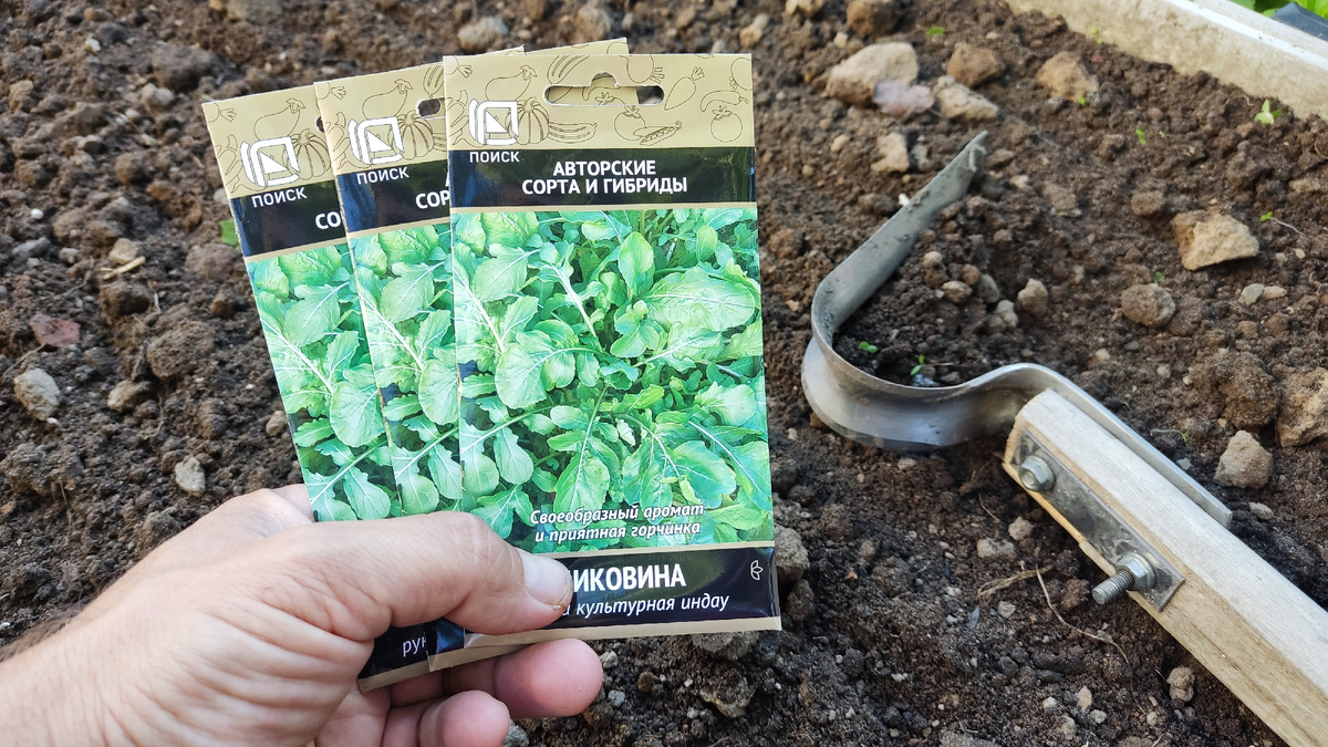 Руккола - это не только вкусная, но и полезная зелень, которая может стать отличным дополнением к различным блюдам. 