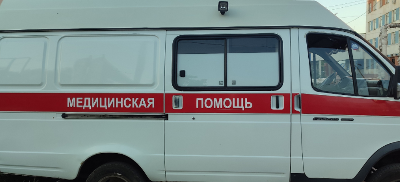    Екатерина Елисеева