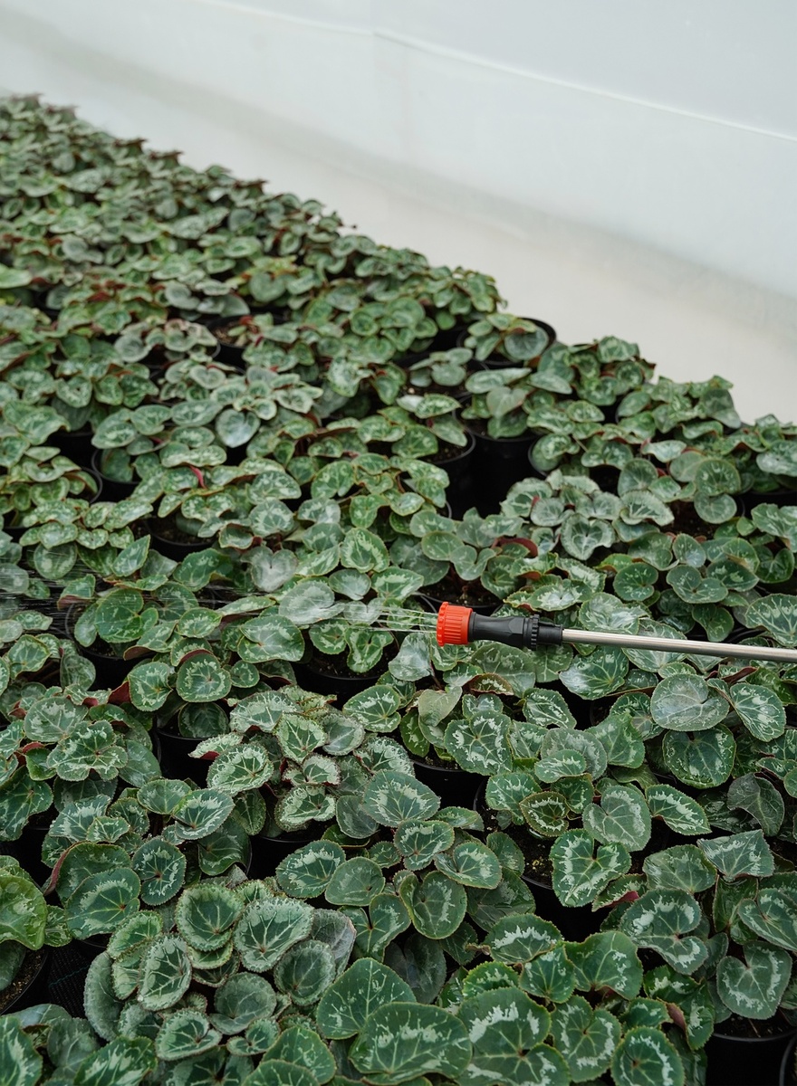 Создать карусельДобавьте описание