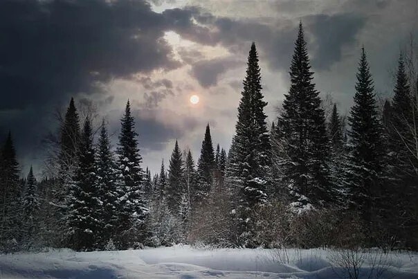 Фото из Яндекса 