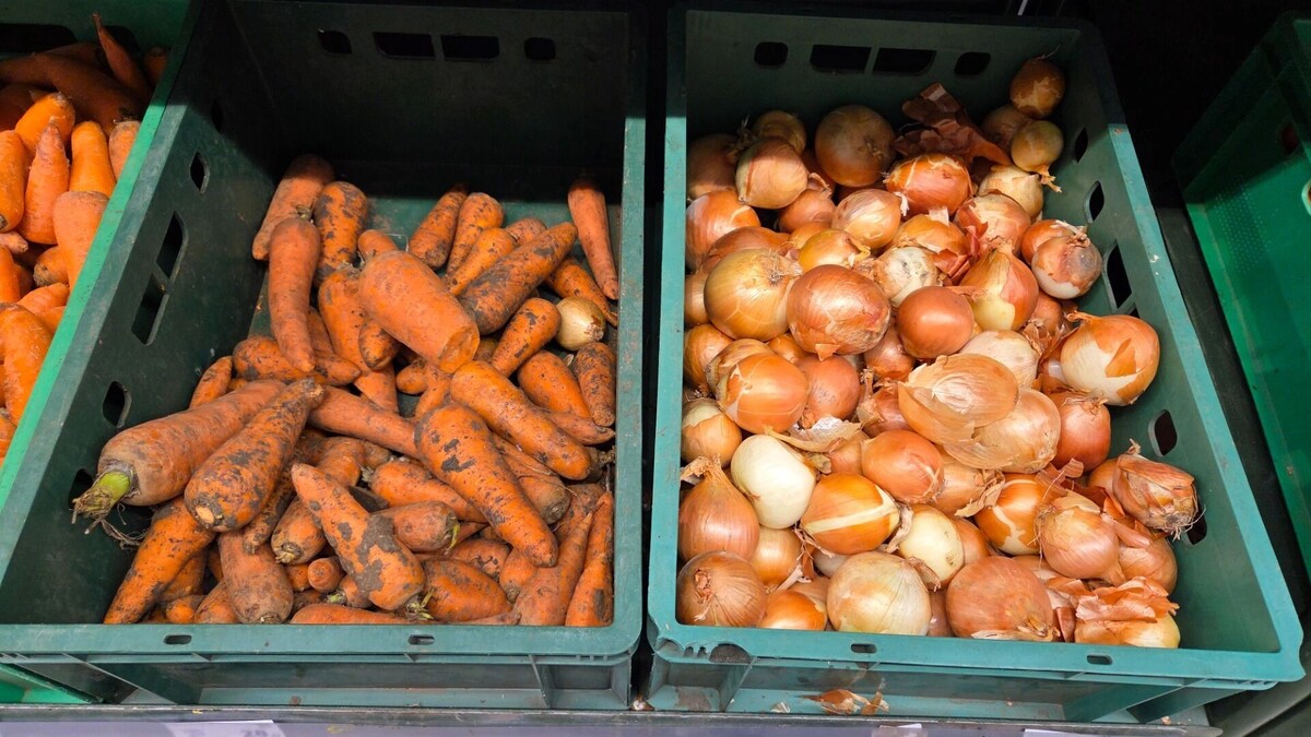     Автор: KubanPress Источник: kubanpress.ru