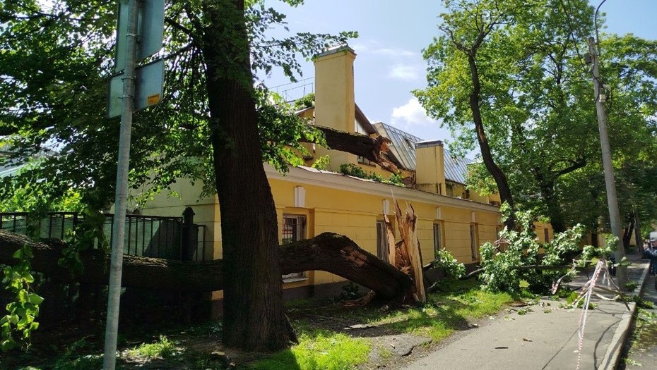    Последствия шторма в Петербурге. Автор фото: "ДП"