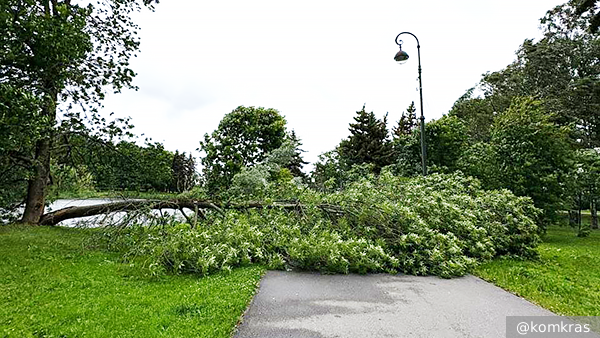     Фото: @komkras   
 Текст: Дмитрий Зубарев