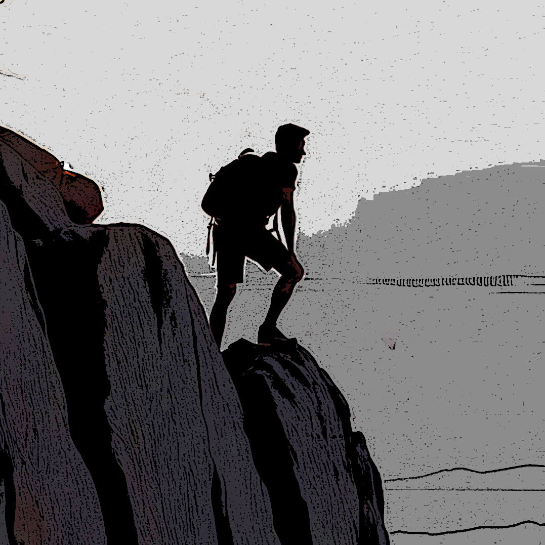 Фотография из открытого источника pixabay com
