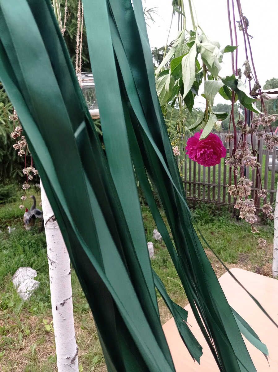 Изумрудные ленты