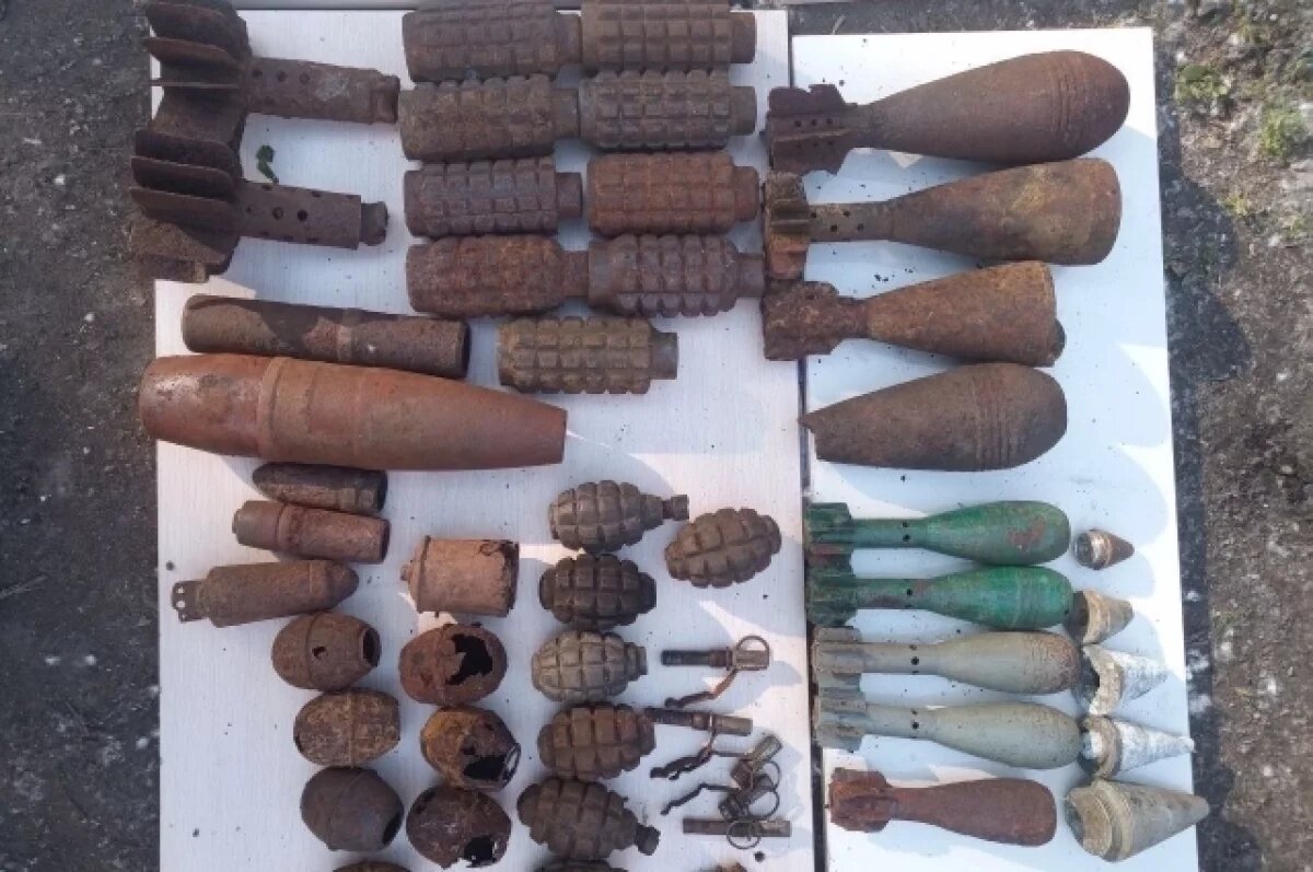    Росгвардейцы нашли предметы похожие на боеприпасы при сносе гаража