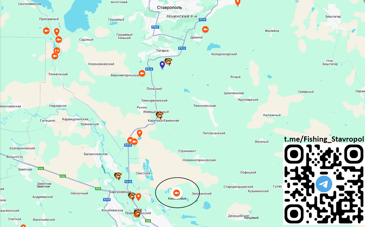 Платная рыбалка КАМЫШОВЫЙ
