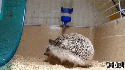 Не игнорируй знаки тела! 