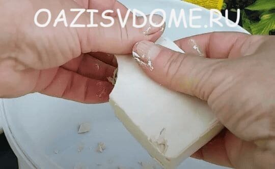 Подготовка свежих дрожжей к приготовлению из них подкормки