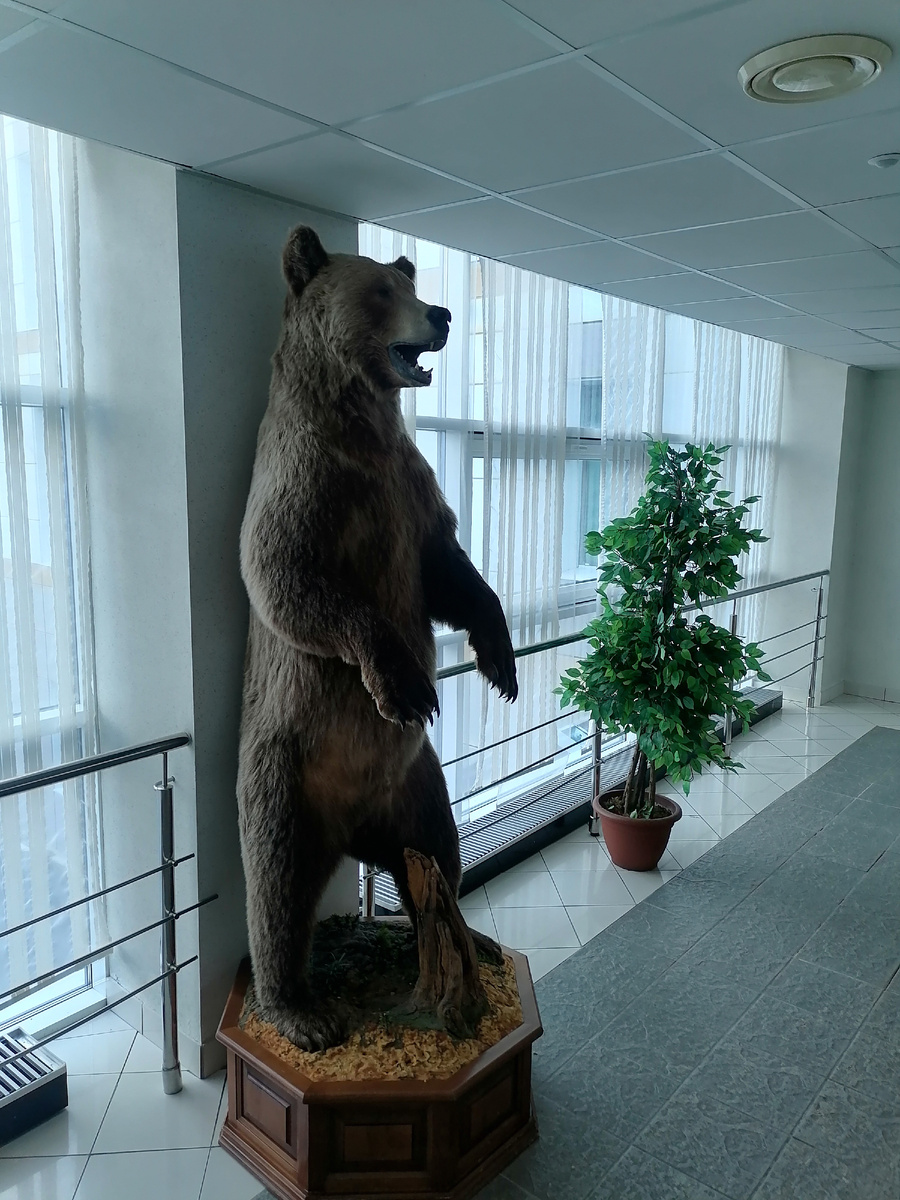 Чучело в Увате