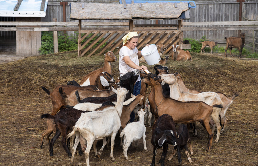    Фото: торговая сеть "Пятёрочка"