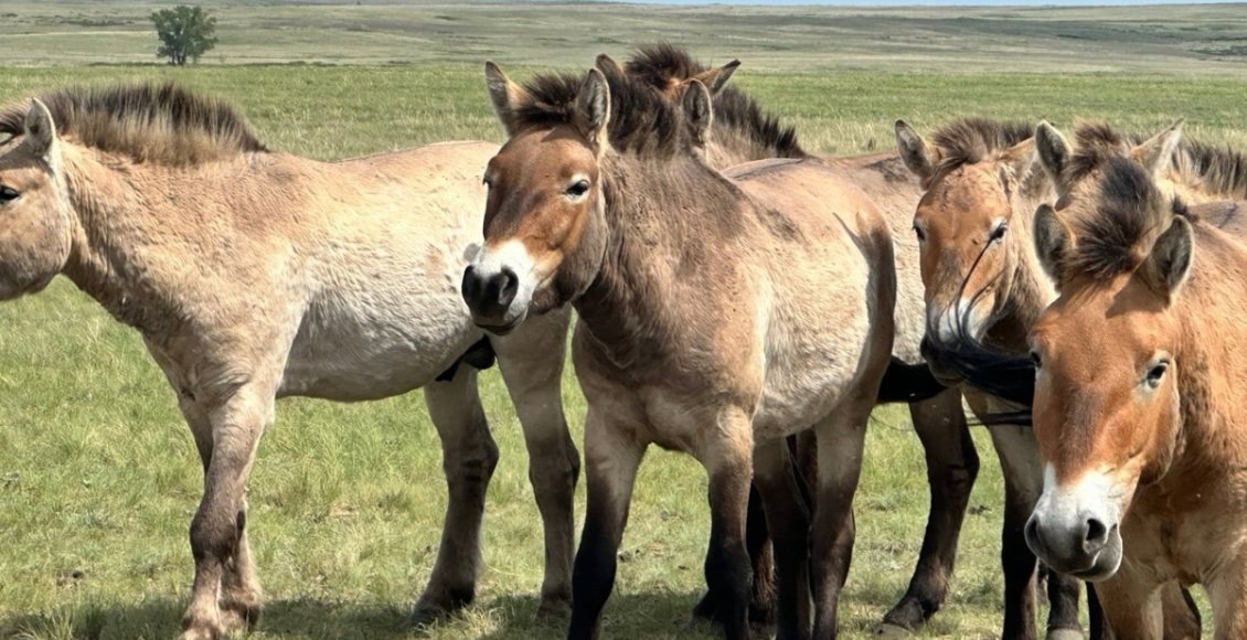    Фото: министерство экологии Челябинской области