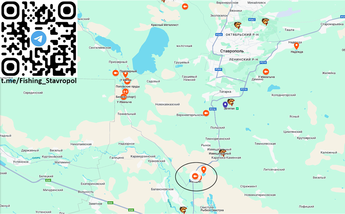 Платная рыбалка КВАДРАТ