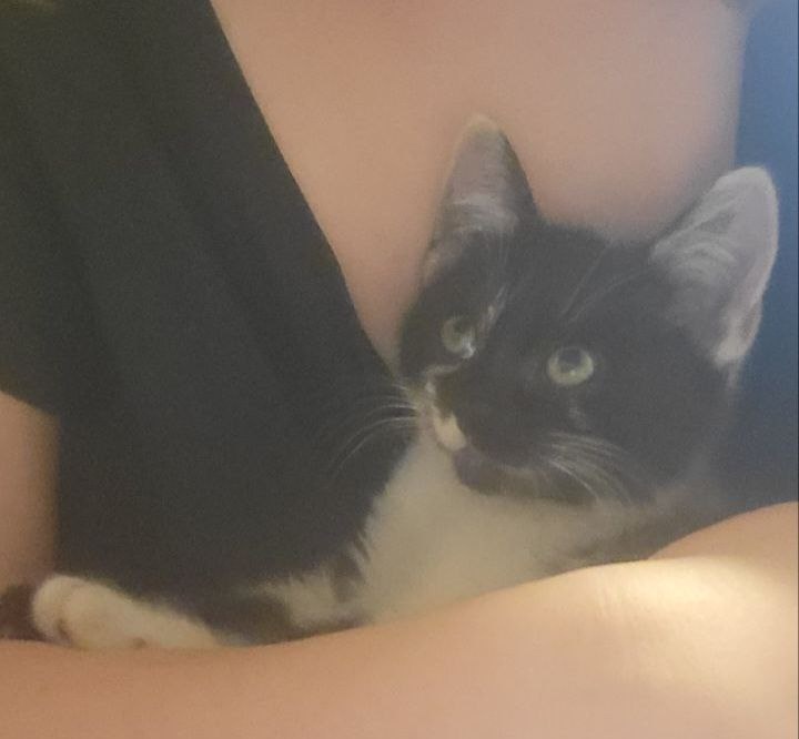 Как из этой нежной козявочки выросло вот ЭТО?