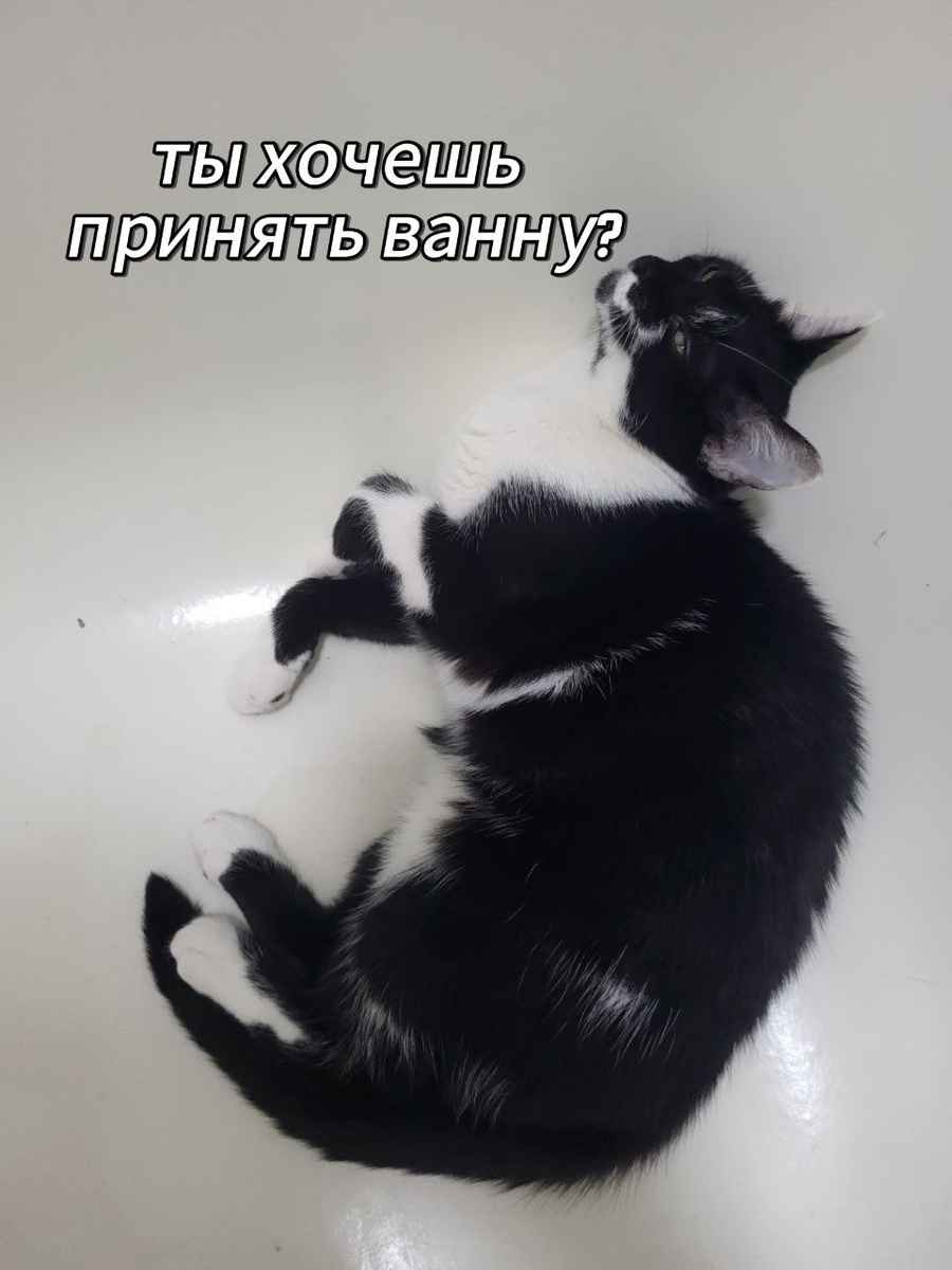 Листай галерею