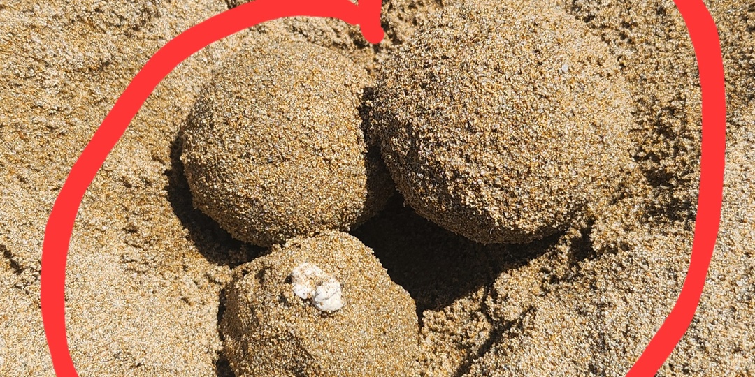 Идеальные партнерские роды. История Елены.