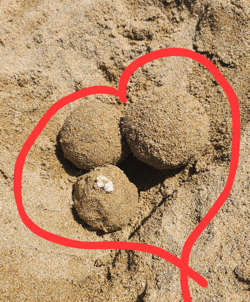 Три шарика из песка. Похоже, они - семья)))