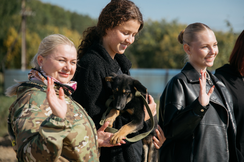    В этом году почти в три раза увеличился спрос на зоонянь, в два раза – на кинологов