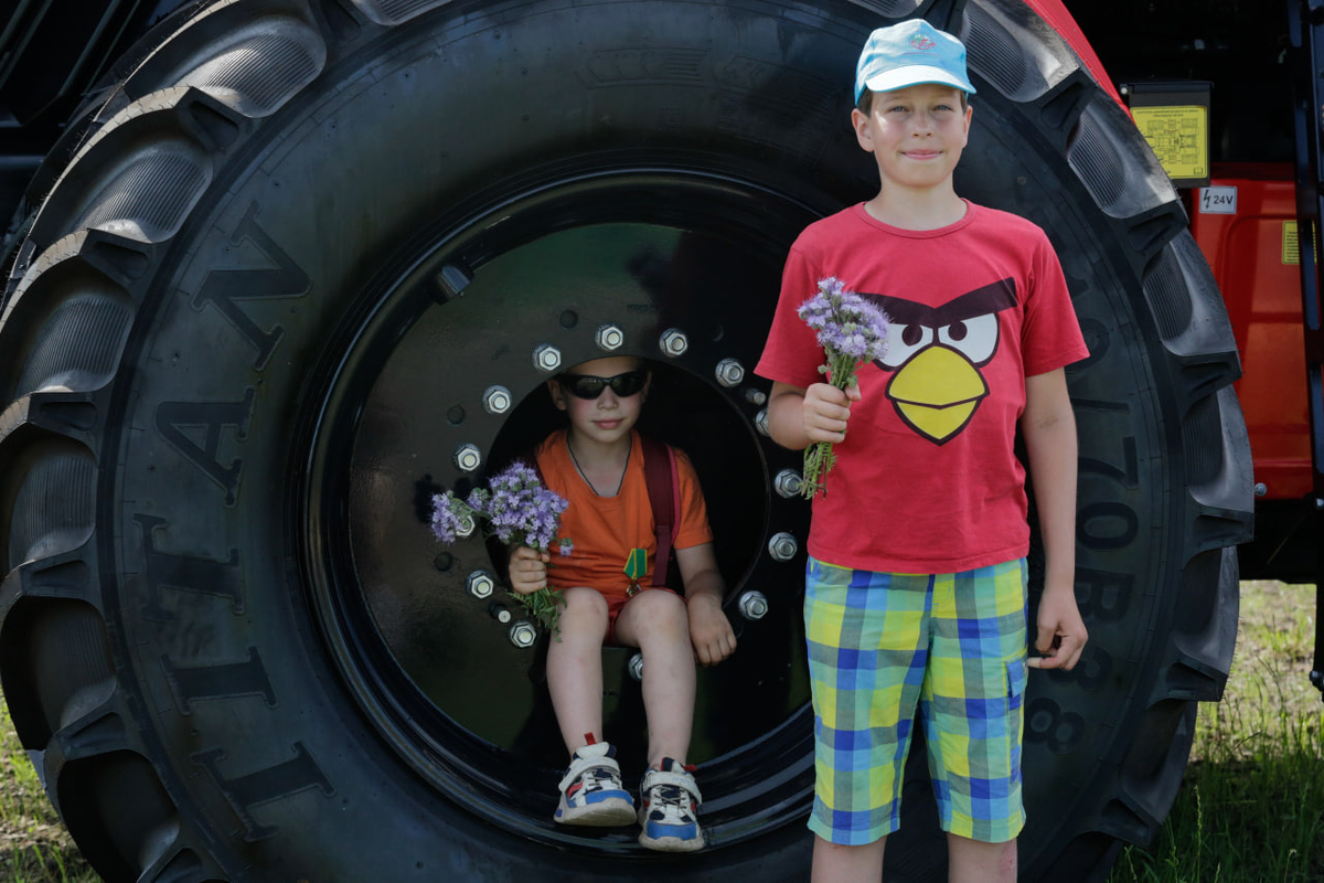 Источник: Поле.РФ