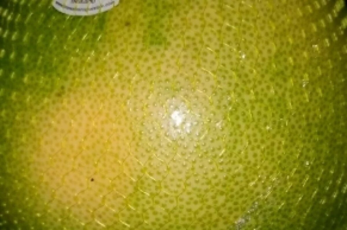    В партии фруктов из Тайланда нашли карантинного вредителя в Иркутске