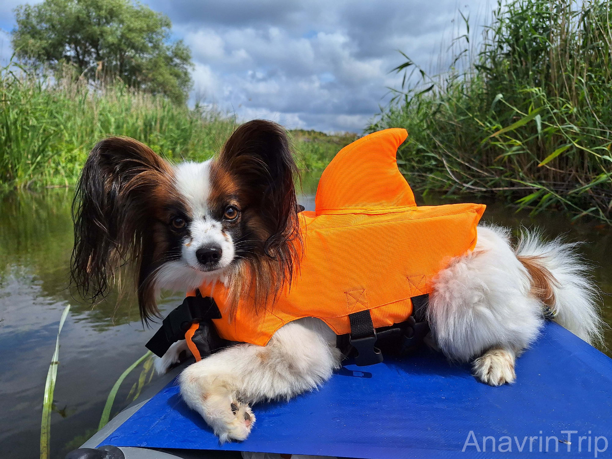 Член нашей команды
