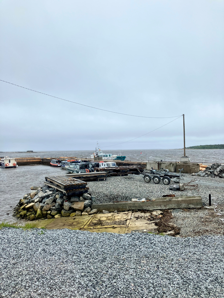 Ждём с моря погоды. Рабочеостровск. Июнь 2025 г. Фото автора. 