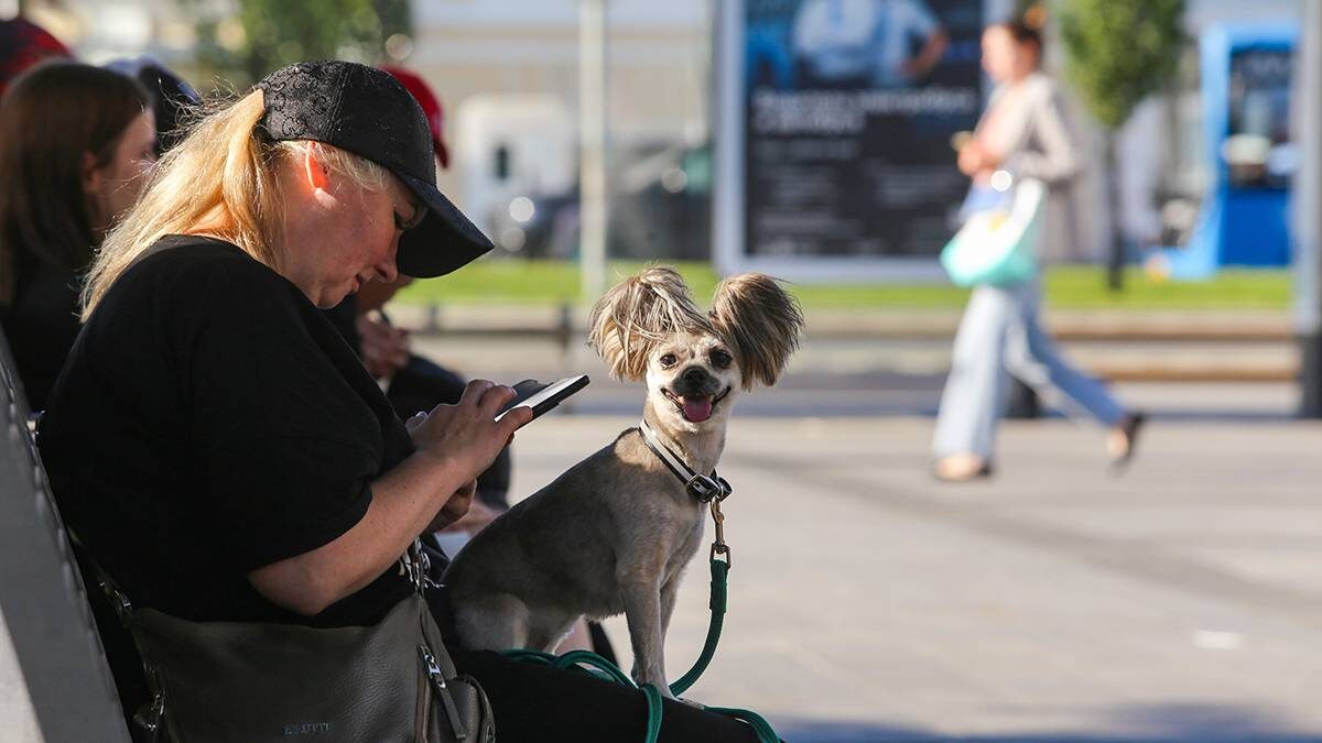    Фото: Ярослав Чингаев / АГН Москва