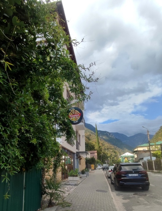 Ул.Русских Добровольцев.