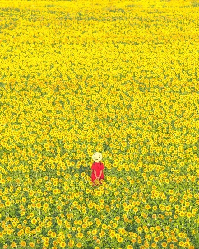 Картинка с Pinterest