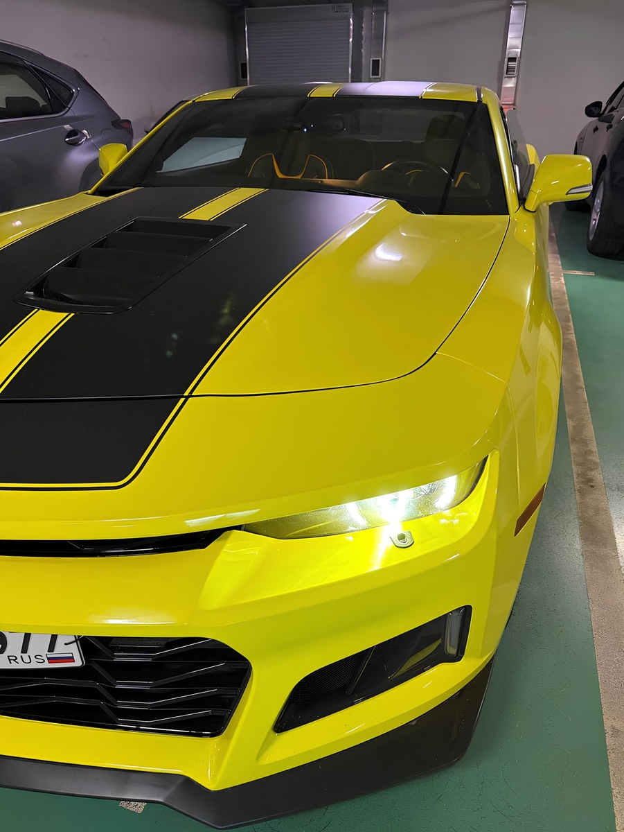    Дмитрий Позов похвастался новинкой в соцсетях