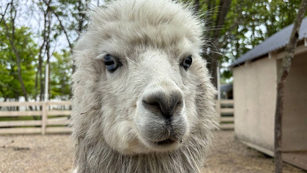    Фото: телеканал «Краснодар»