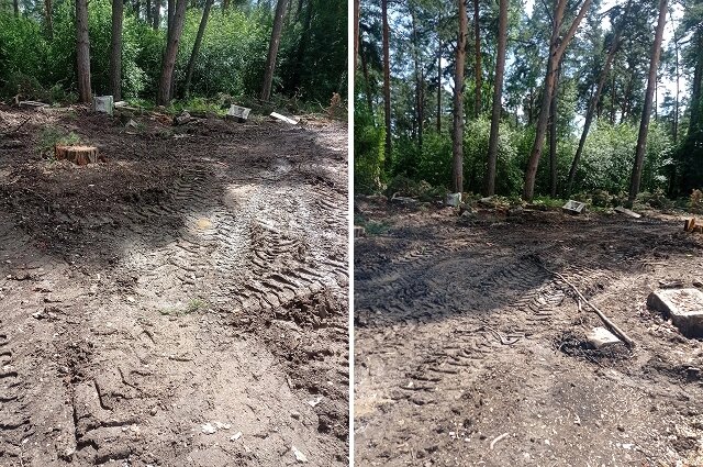    Следы техники на частном участке. Фото: Коллаж АиФ/ Наталья Русецкая