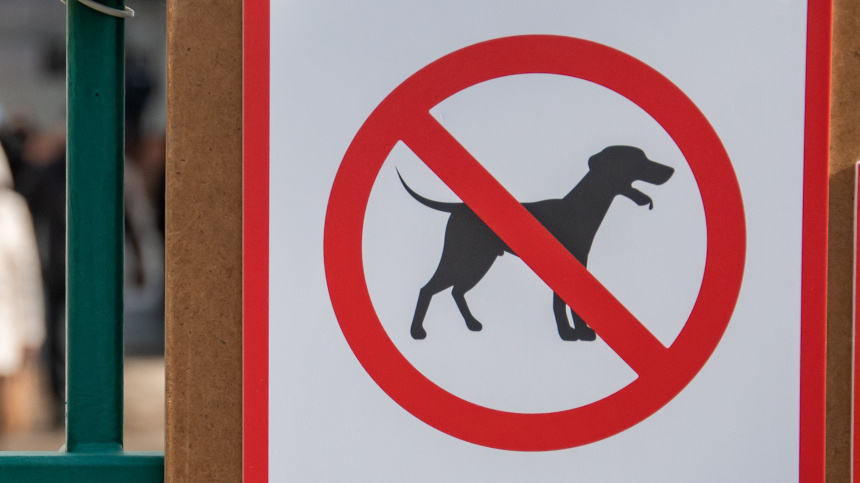    Фото: www.globallookpress.com/Oleg Spiridonov; 5-tv.ru