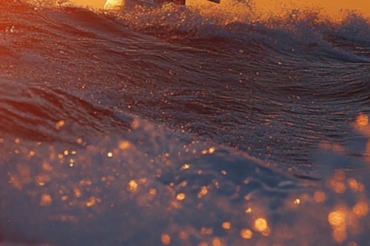    В Петербурге затопило южную часть исторического парка «Дубки»