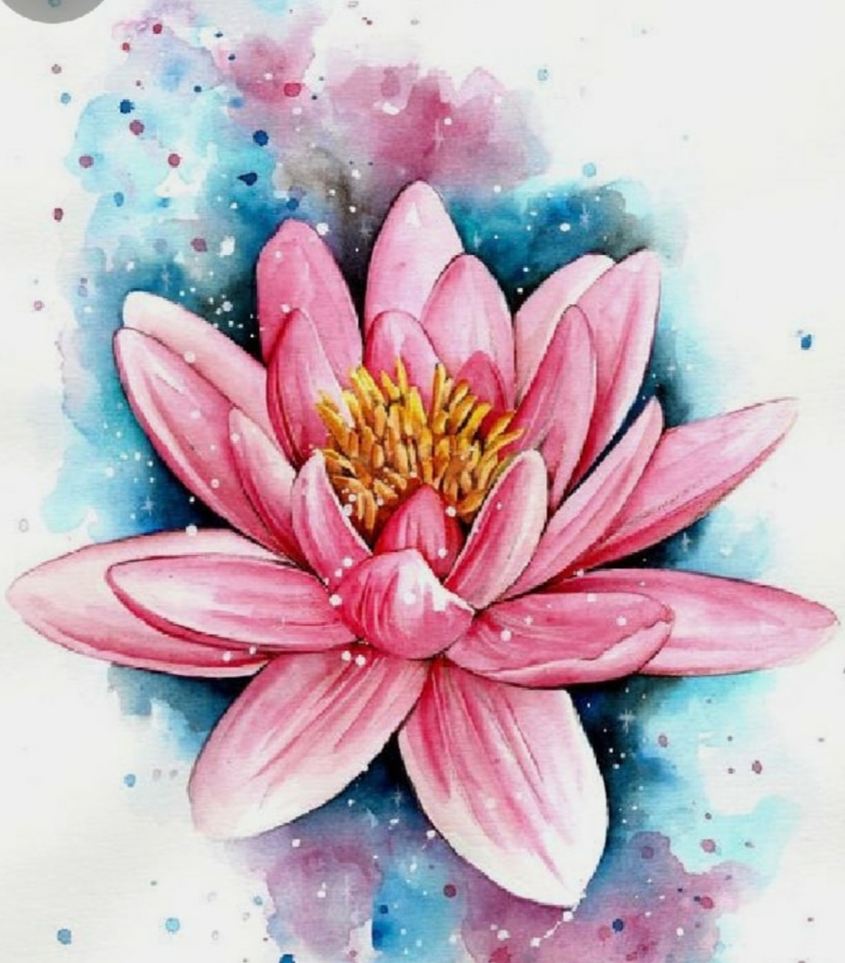 Фото из открытых источников Интернет