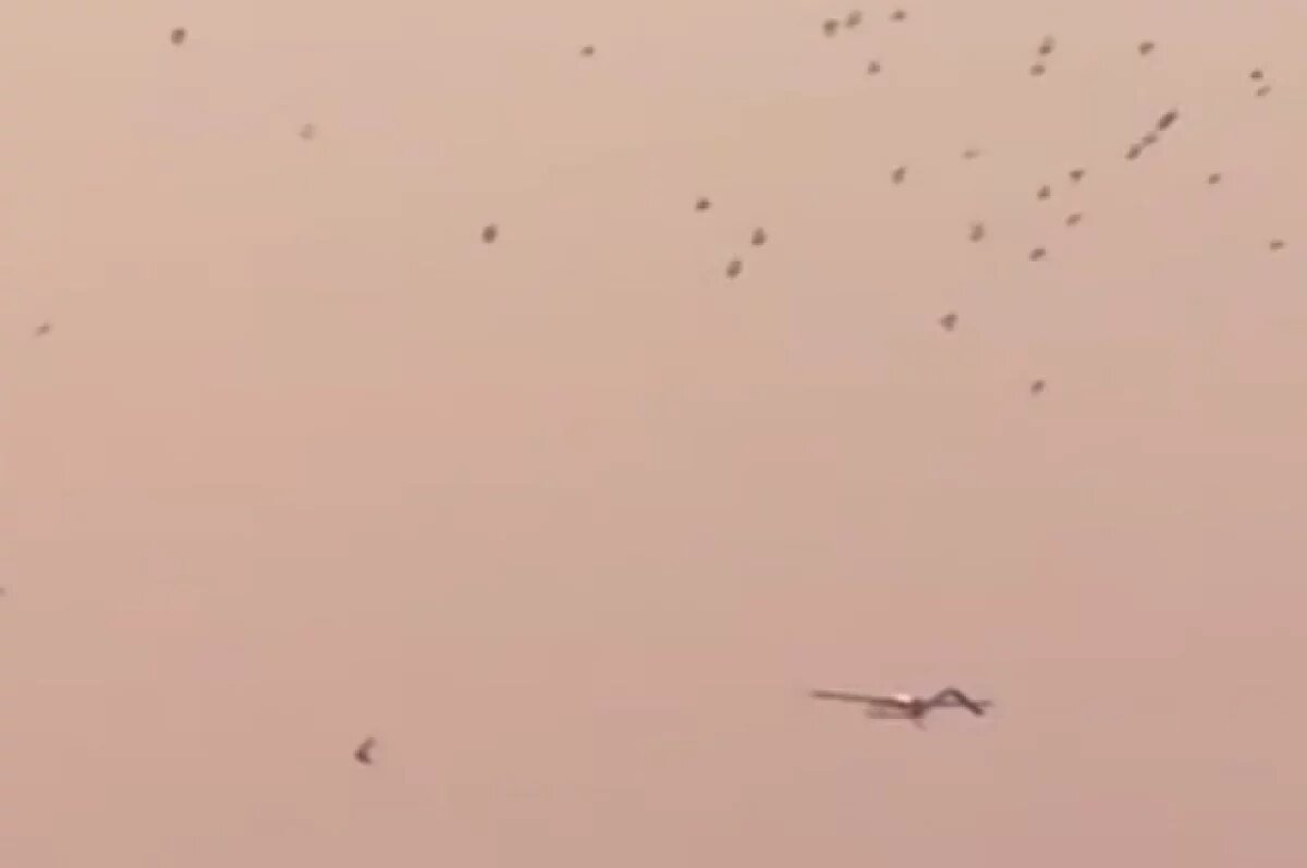    Попов: ВСУ запускали дроны на ростовский Азов с расстояния 150-300 км