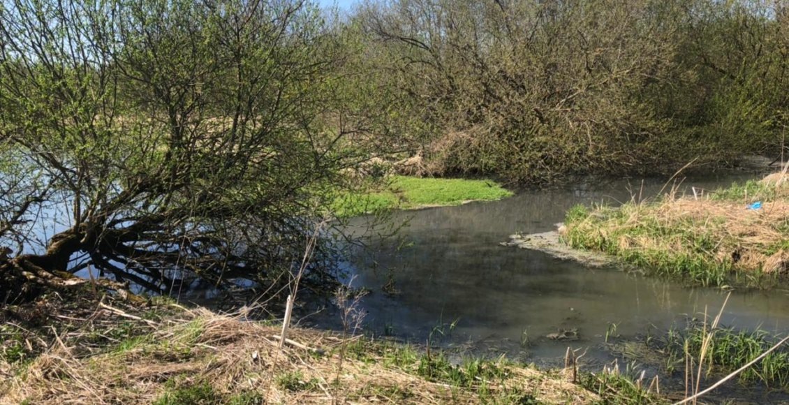    Фото: Росприроднадзор