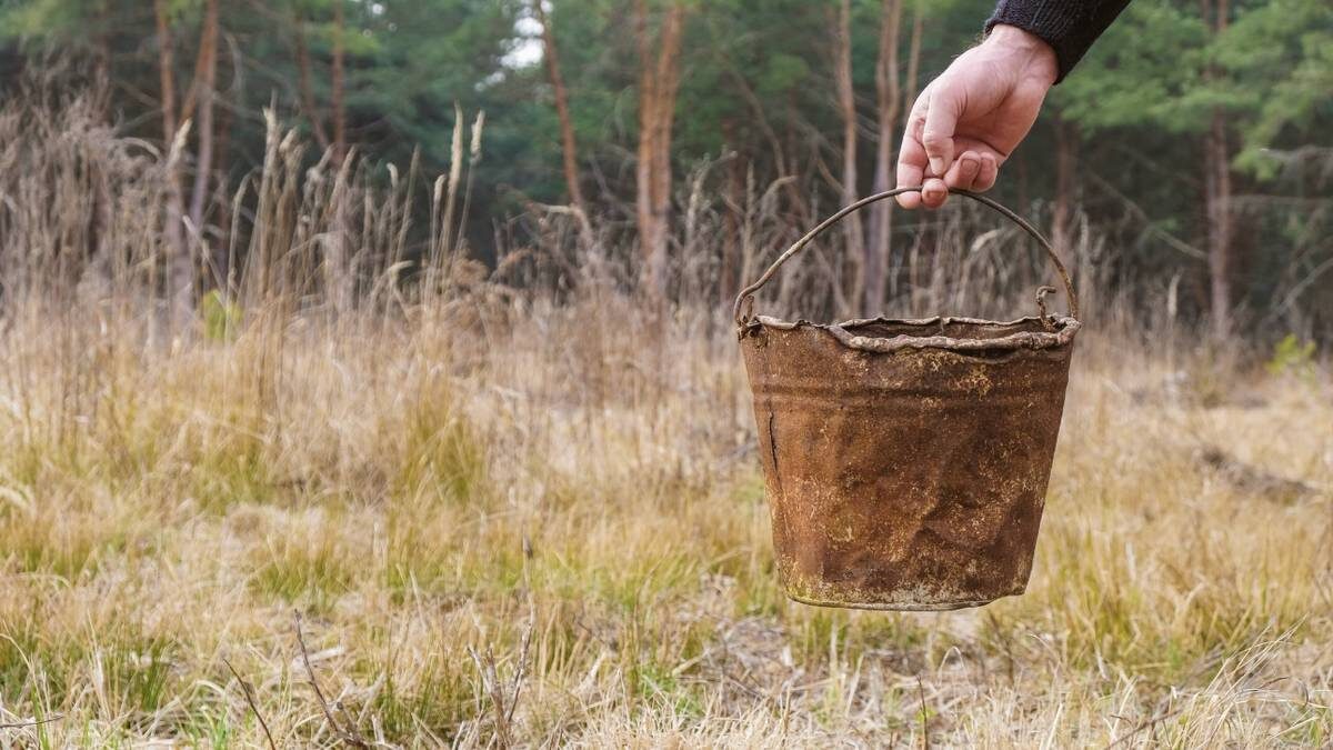    Фото: Shutterstock