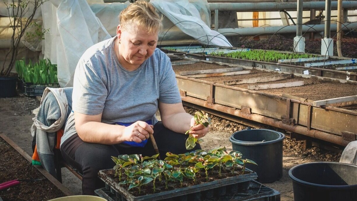     Источник: 1MI