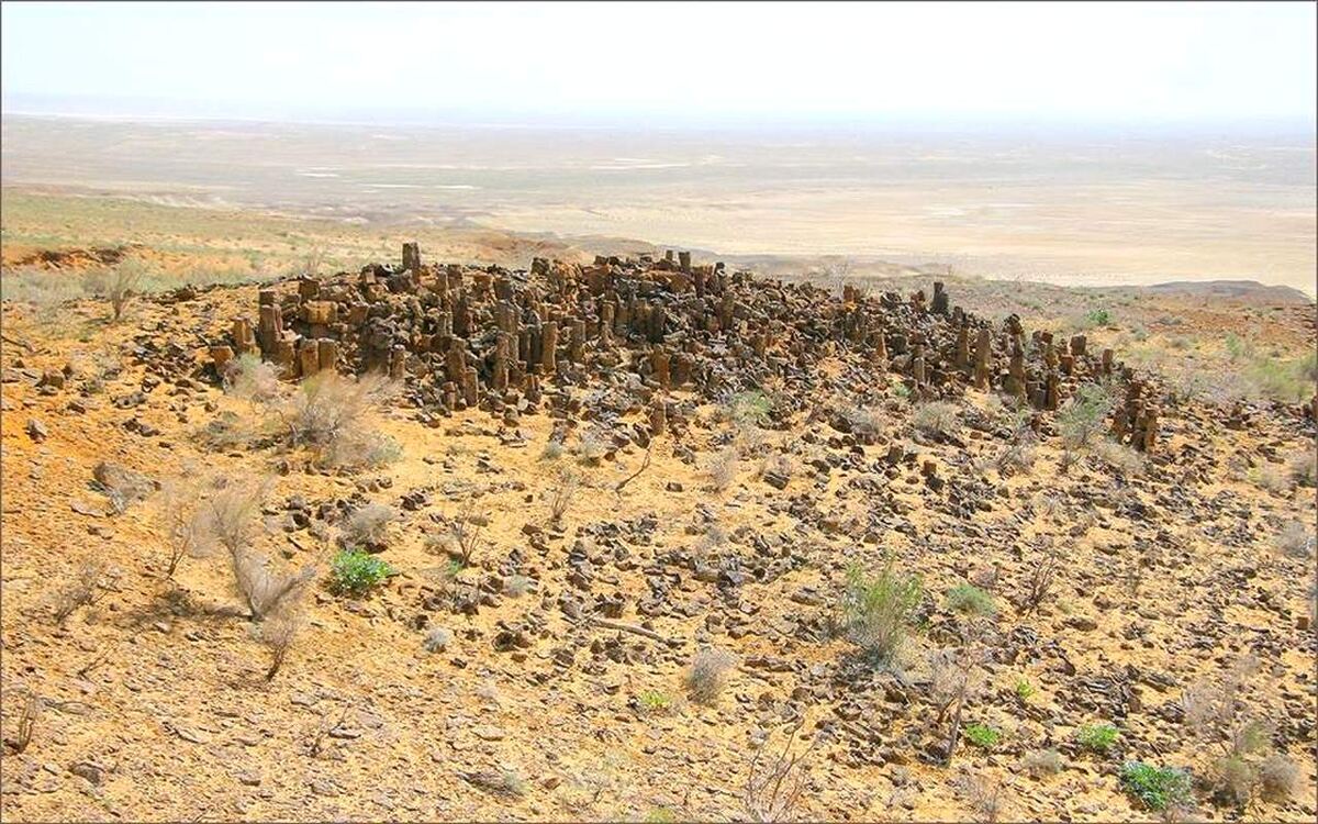 Вид на каменный лес. Источник: Яндекс картинки