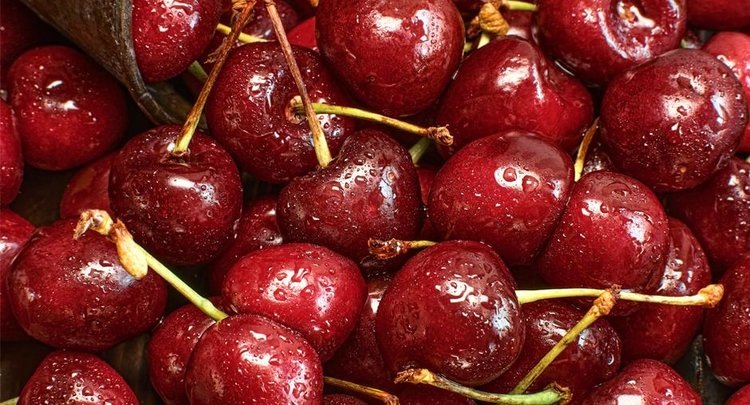    Фото: ФГБУ ЦОК АПК